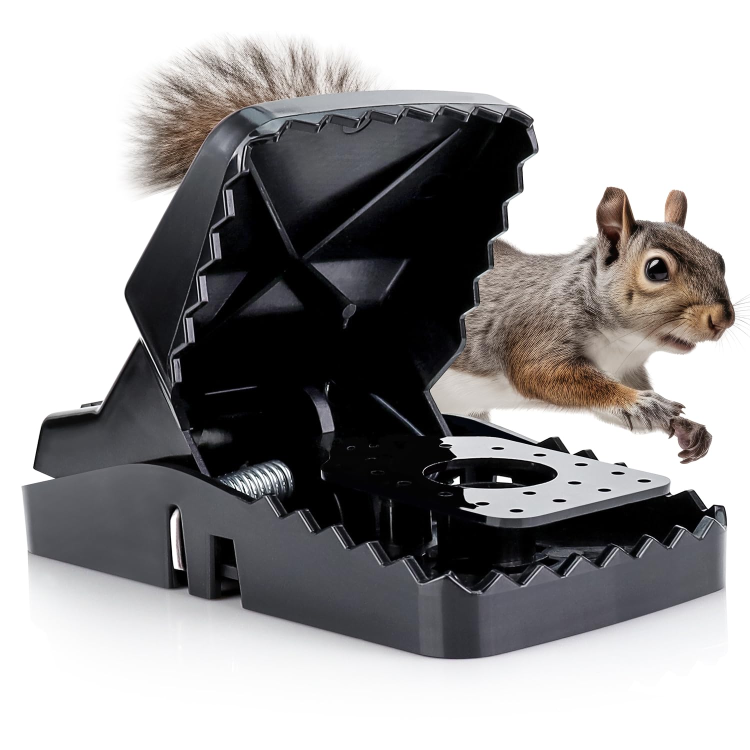 eXuby Squirrel Trap front view, black plastic design