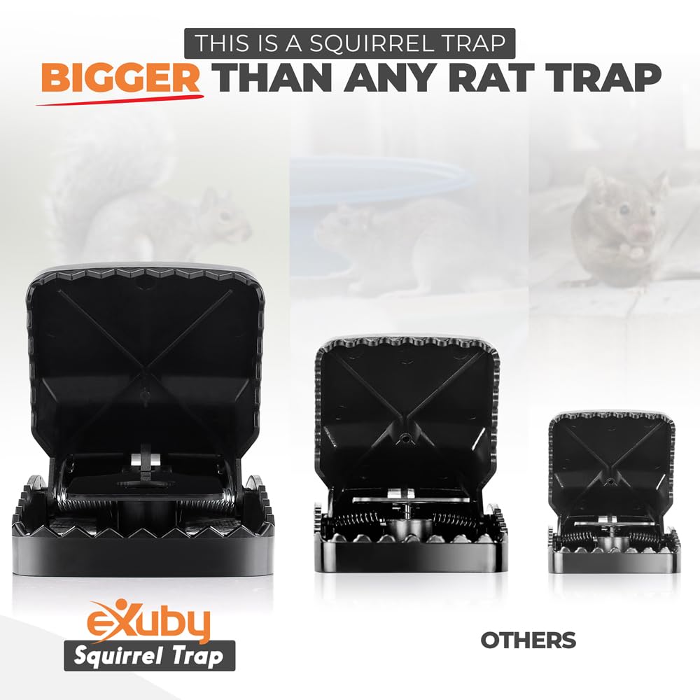 eXuby Squirrel Trap in a garden setting, ready for use