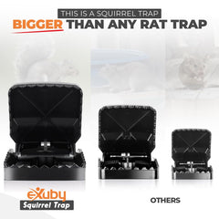eXuby Squirrel Trap in a garden setting, ready for use
