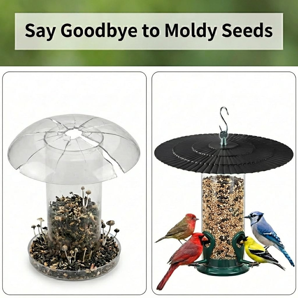 Eyrosa 11.5 inch rain guard protecting bird feeder from rain