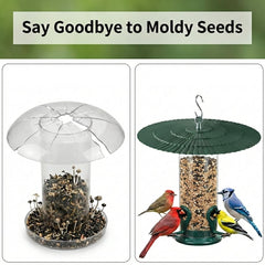 Eyrosa 11.5" Metal Bird Feeder Rain Guard with S hook included