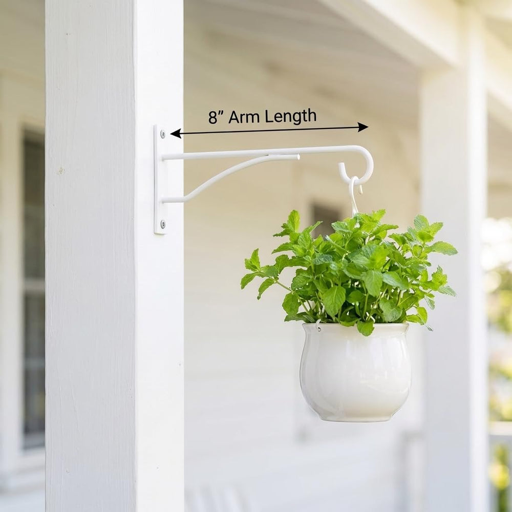 Eyrosa plant hanger mounted on wooden fence with hummingbird feeder