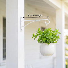 Eyrosa plant hanger mounted on wooden fence with hummingbird feeder