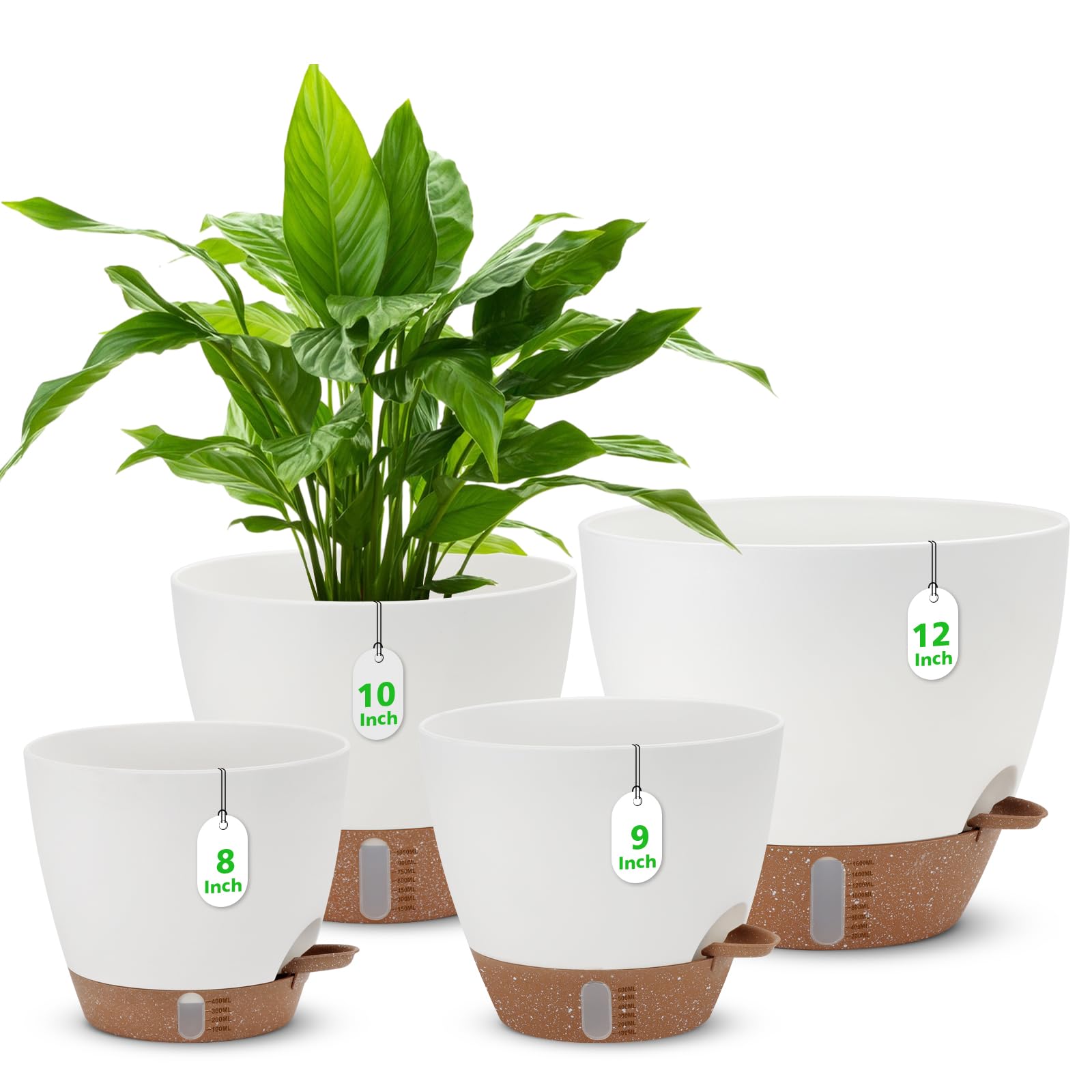 Ezmixcoop 12-inch self watering pot with water level indicator