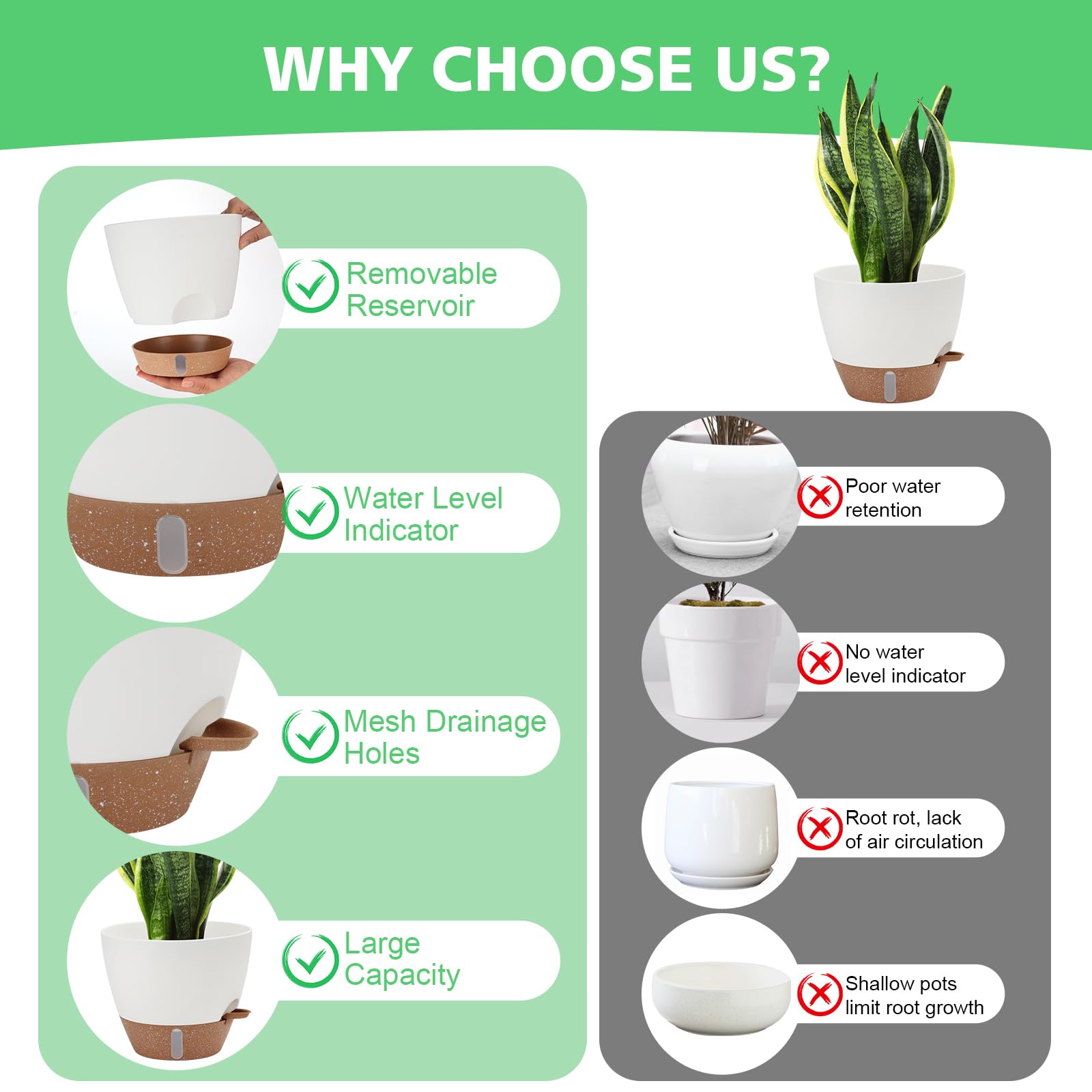 Ezmixcoop 9-inch self watering pot showcasing cotton rope