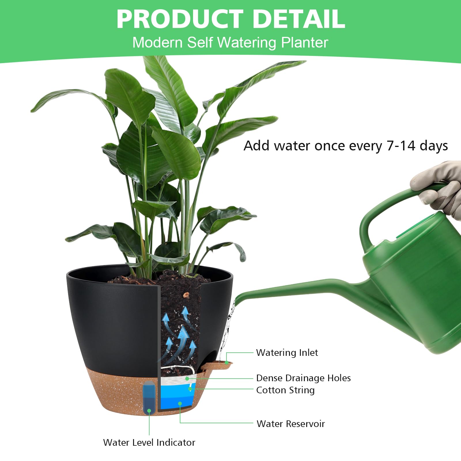 Ezmixcoop pots with absorbent cotton rope for water supply