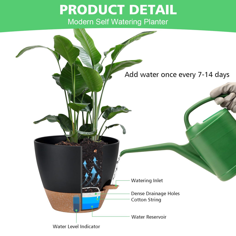 Ezmixcoop pots with absorbent cotton rope for water supply