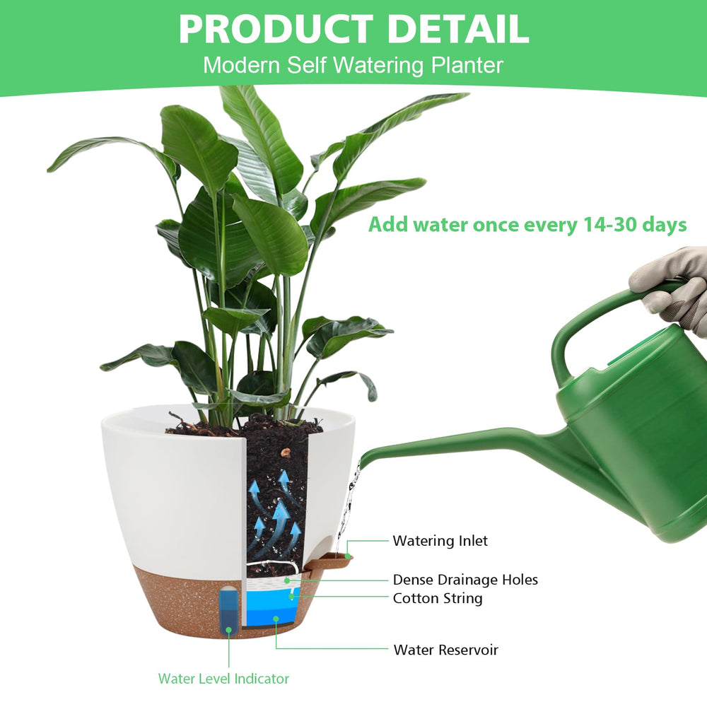 Ezmixcoop self watering plant pots arranged on a patio