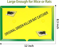 Ezoon Mouse Glue Trap with bait on it