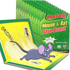 Ezoon Mouse Glue Traps 12 pack, Green front view