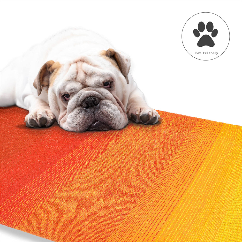 FAB HAB Outdoor Rug Big Sur - Sunset in outdoor setting