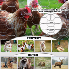 Fabulas Chicken Wire Fencing in garden setting