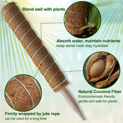 Fabulas Moss Pole set with accessories including ties
