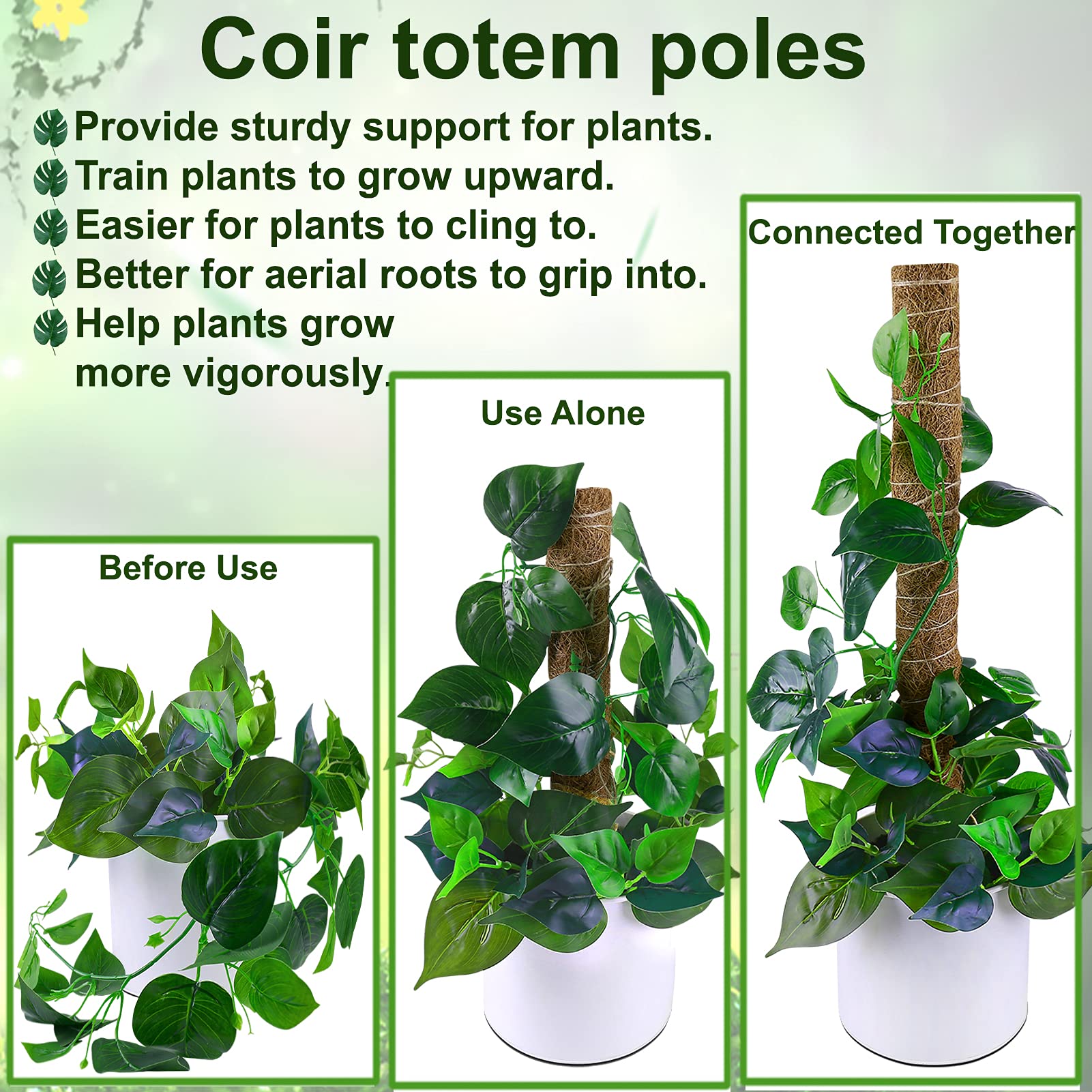 Fabulas Moss Pole with climbing plant attached