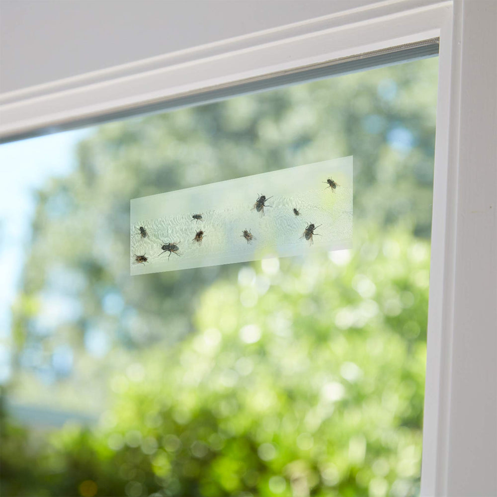 Faicuk Clear Window Fly Trap in use on a sliding door