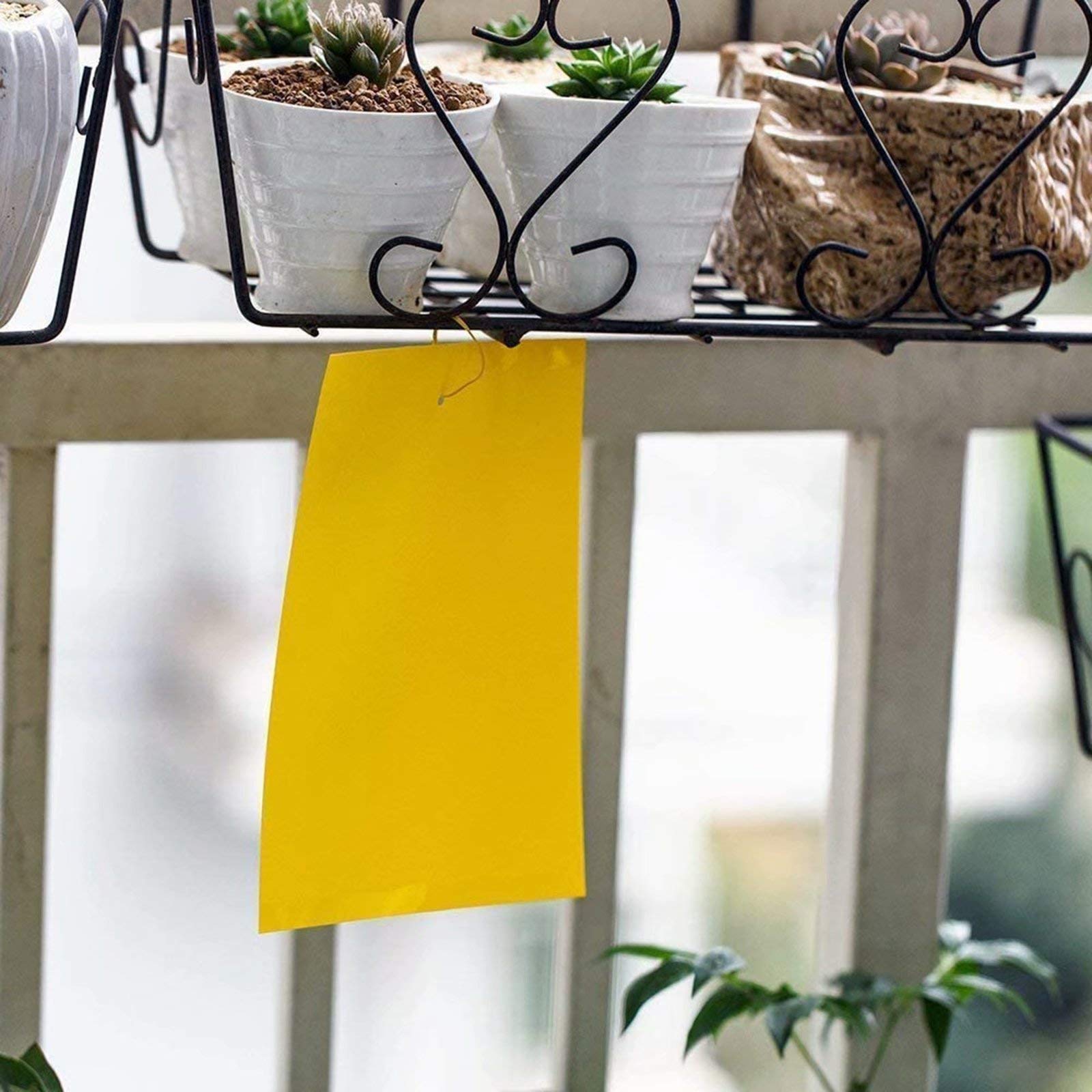 Faicuk Yellow Sticky Trap displaying multiple captured insects