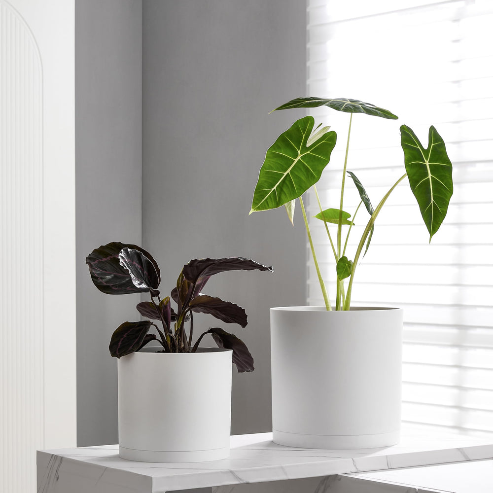 FaithLand 10-Inch Planter on a balcony with plants