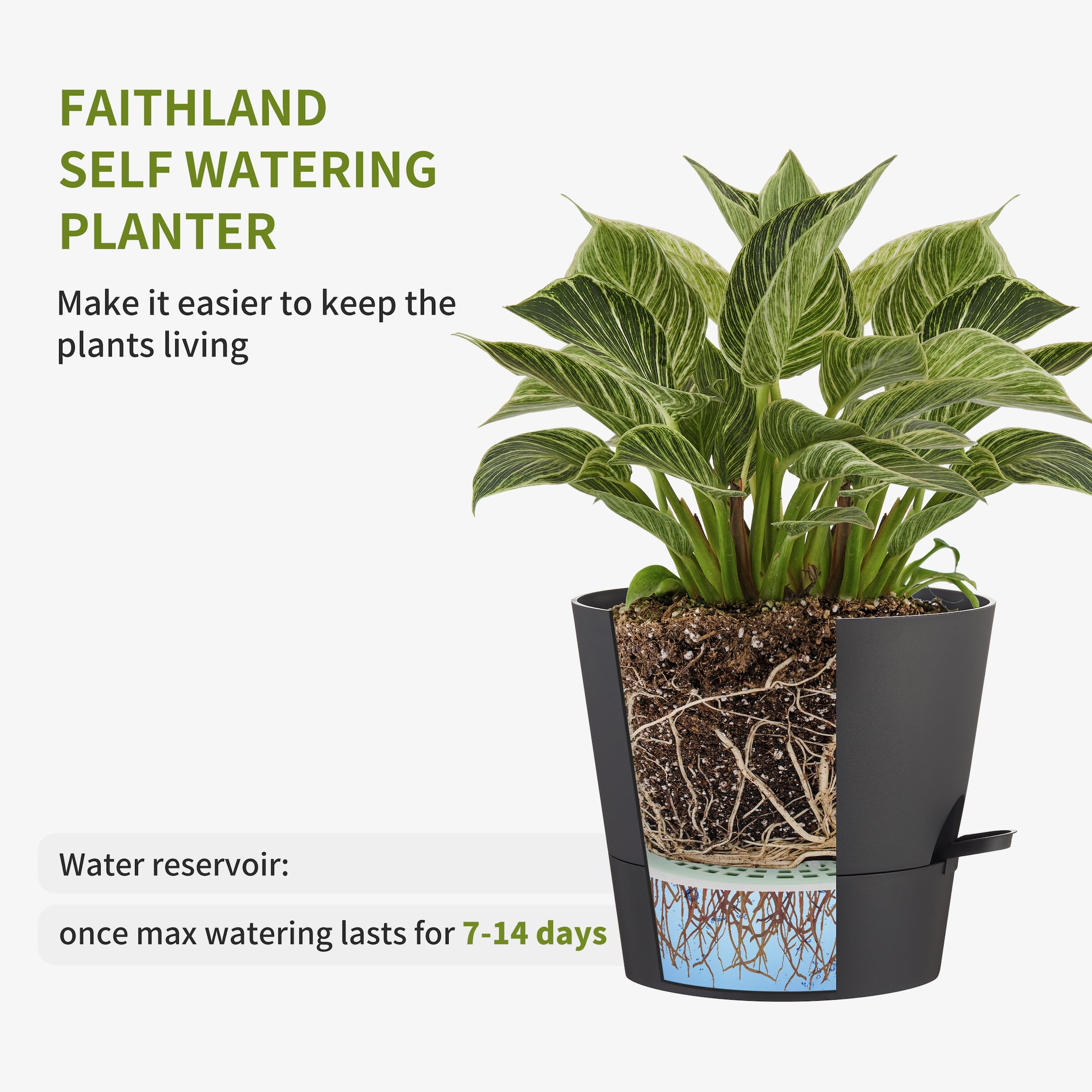 FaithLand 10 Inch planter pot with plant, showing drainage holes