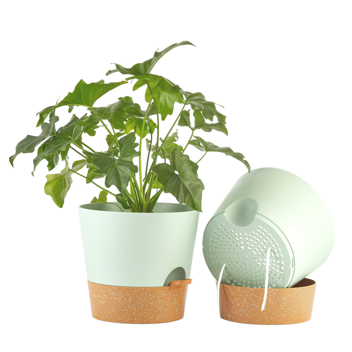 FaithLand 10 Inch Self Watering Planter Pot in green with terracotta bottom