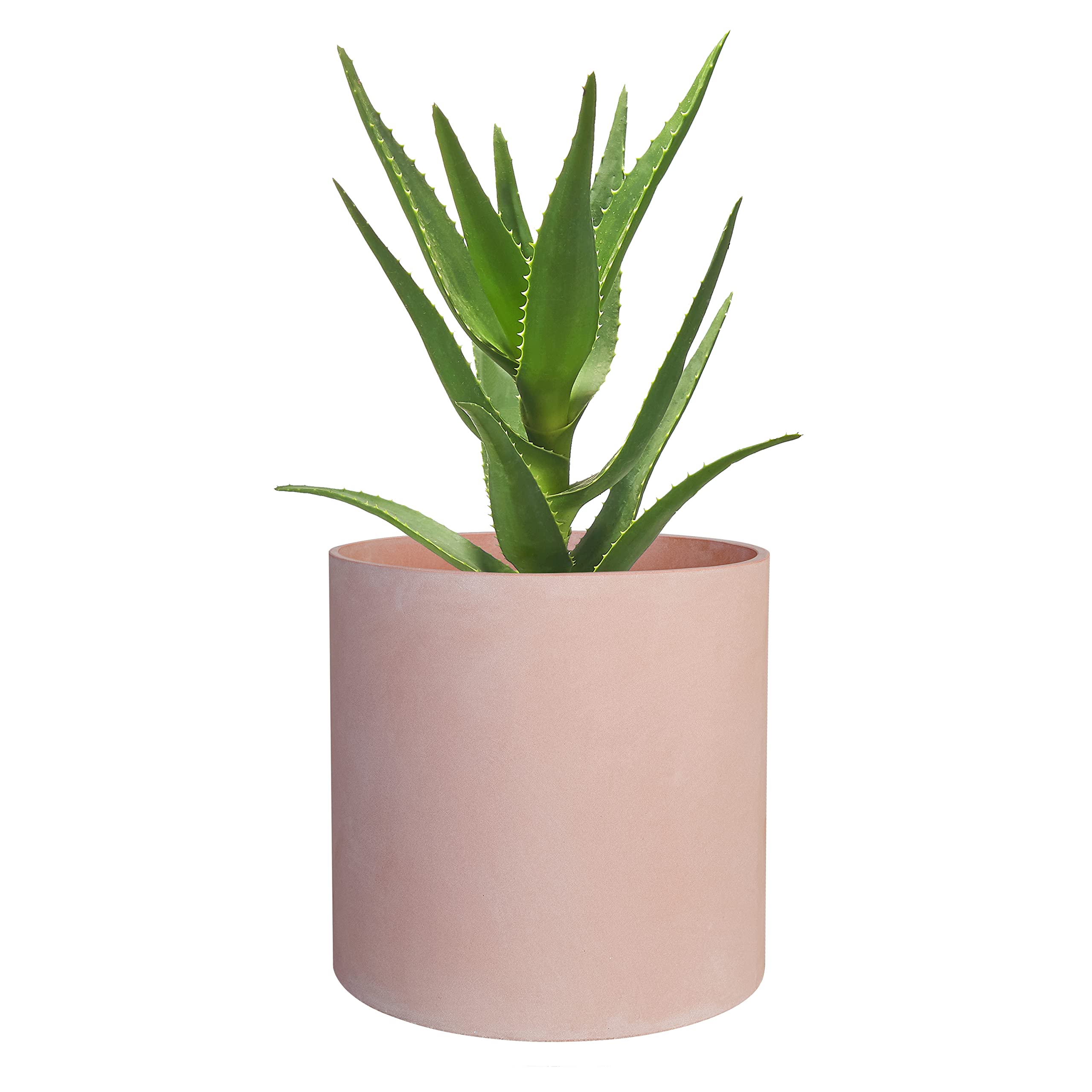 FaithLand 8 Inch Fiberstone Planter outdoors with plants