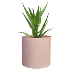 FaithLand 8 Inch Fiberstone Planter outdoors with plants