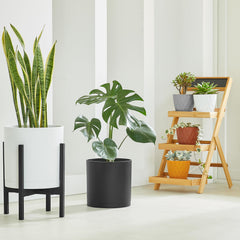 FaithLand 8-Inch Modern Cylinder Planter with plants