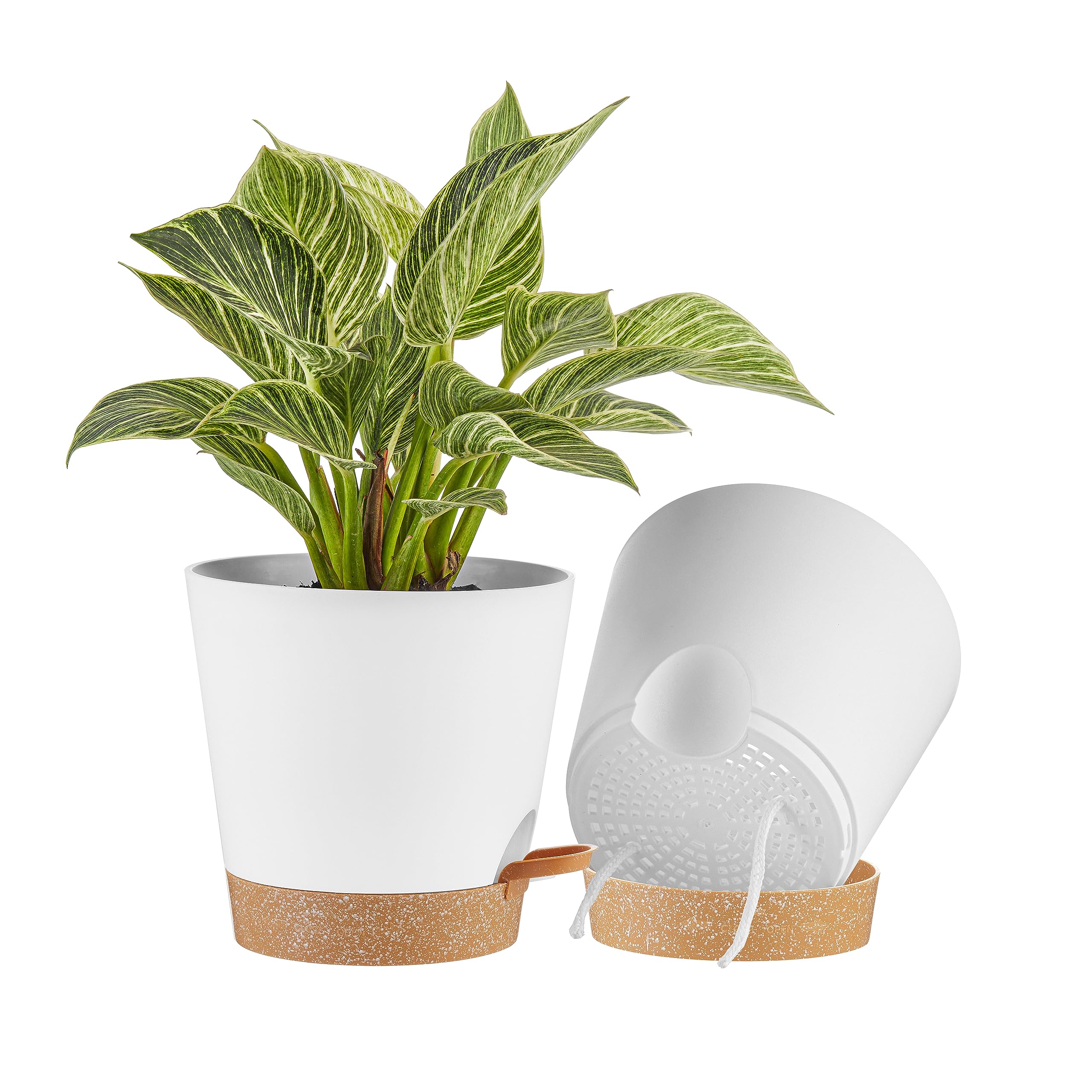 FaithLand 8 Inch self-watering planter pot front view in white with terracotta