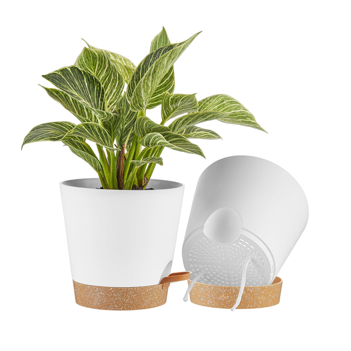 FaithLand 8 Inch self-watering planter pot front view in white with terracotta