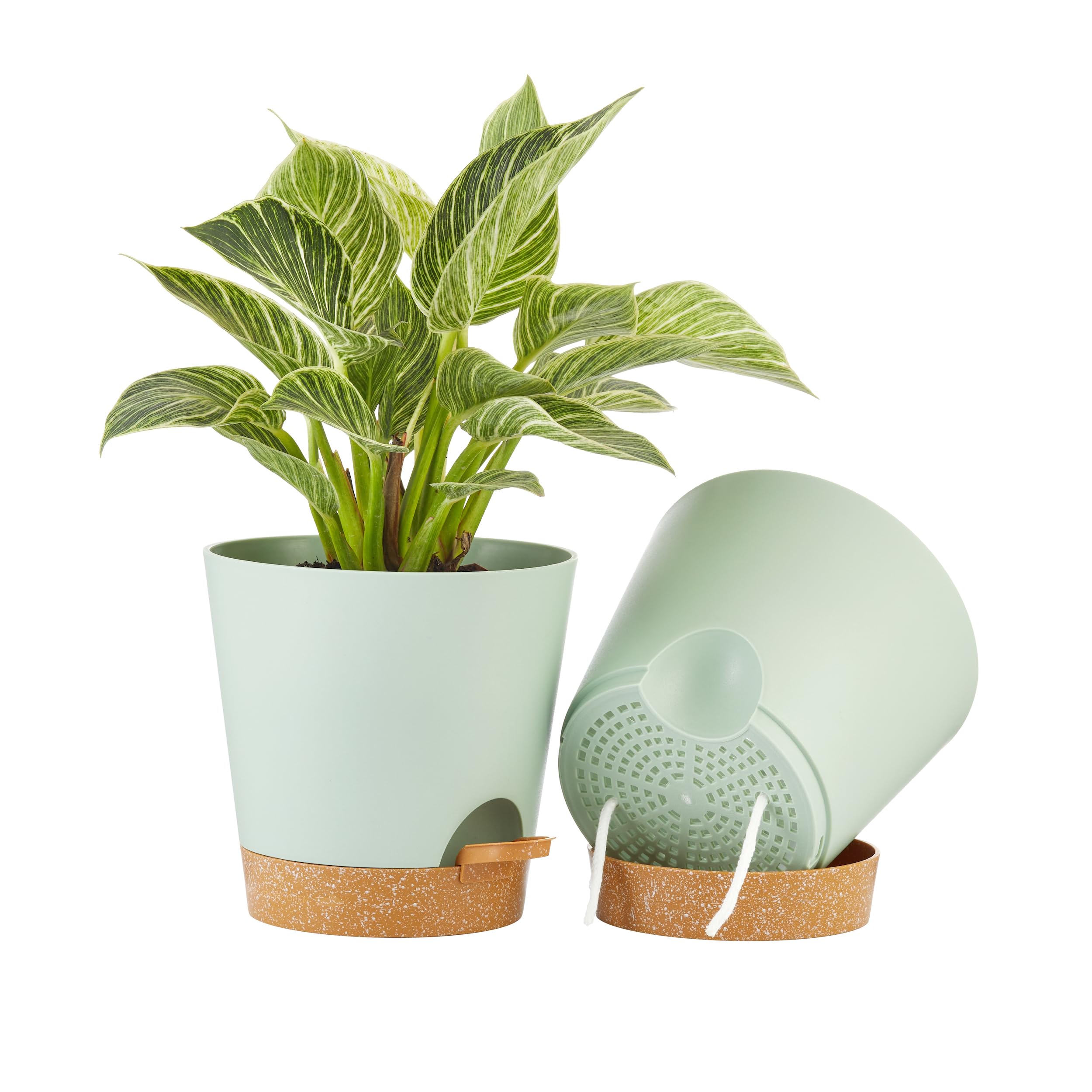 FaithLand 8 Inch Self Watering Planter Pot in Green with Terracotta