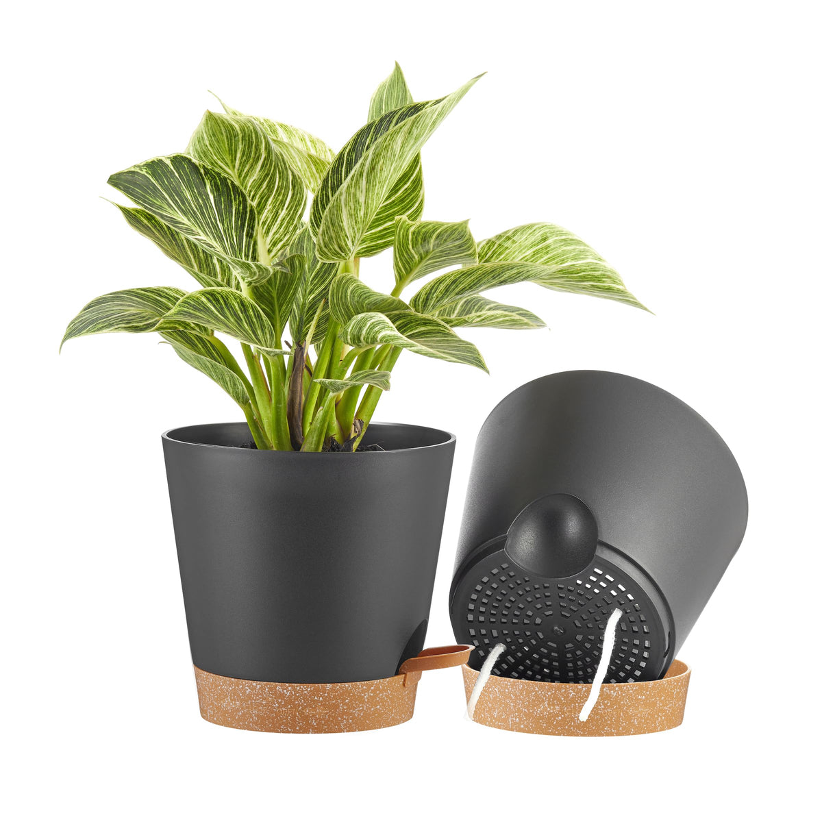FaithLand 8-Inch self watering planter pots in black with terracotta bottom