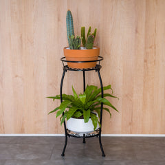 FaithLand plant stand with potted plant on top
