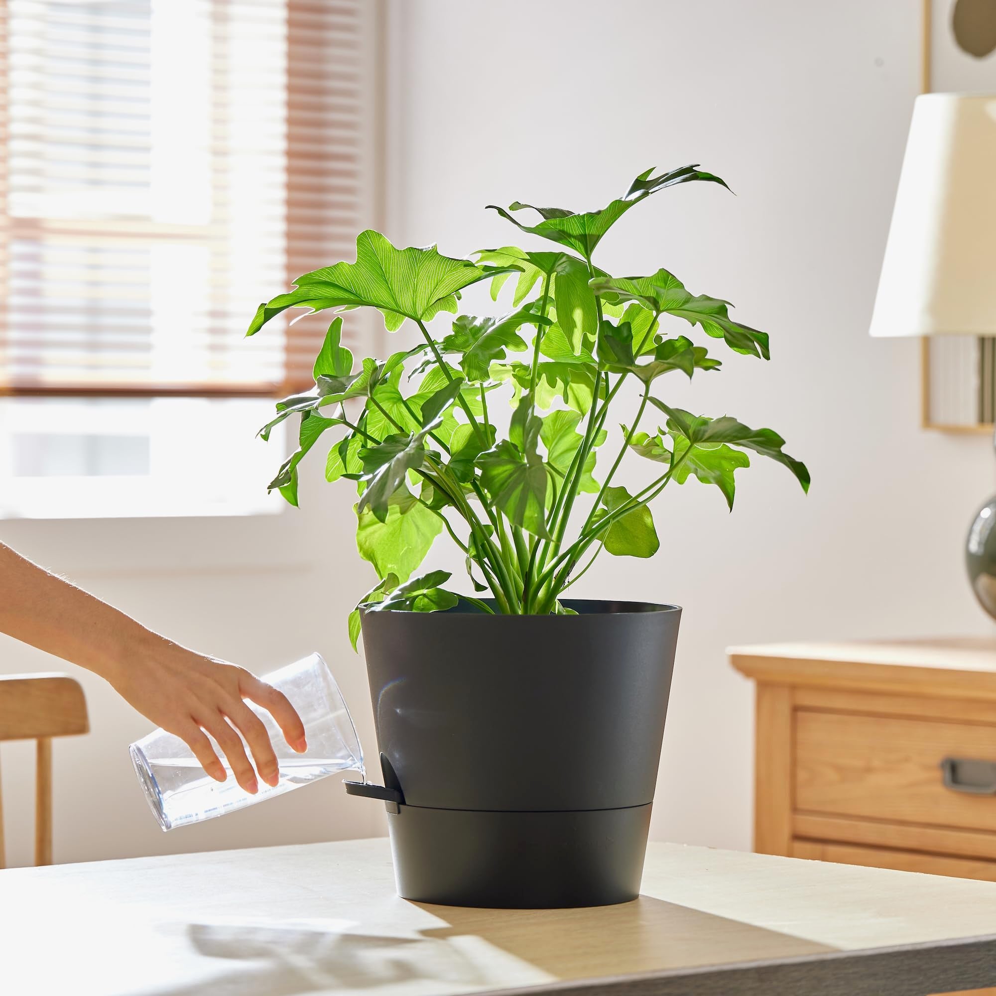 FaithLand planter pot with detachable tray and watering lip