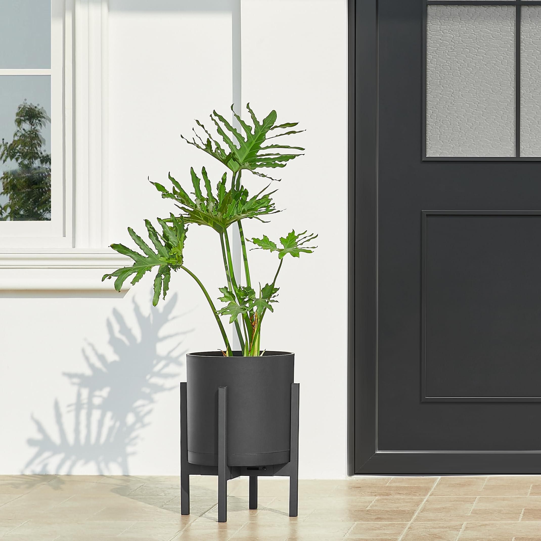 FaithLand planter with large green plants indoors