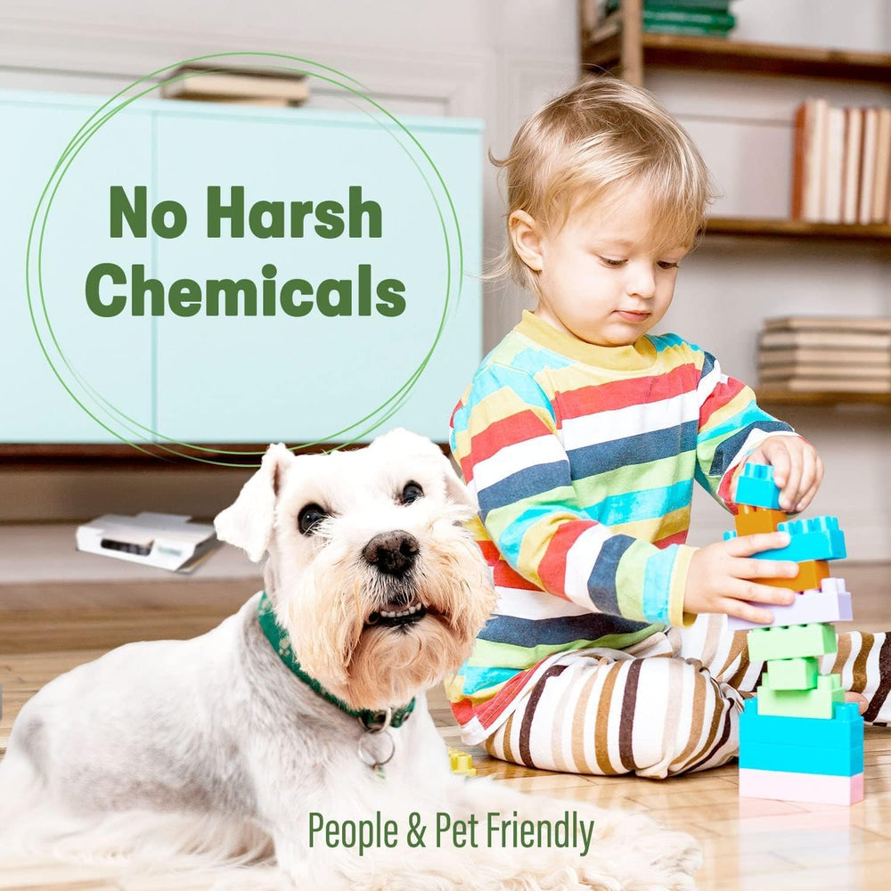 Family-friendly BugMD Cockroach Catcher with no harsh chemicals
