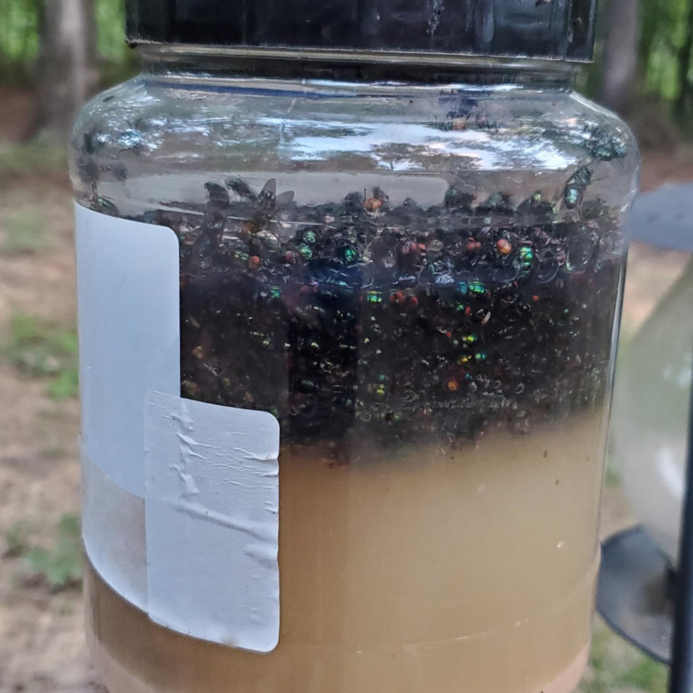 Family-friendly Glovv Fly Trap Refills packaging