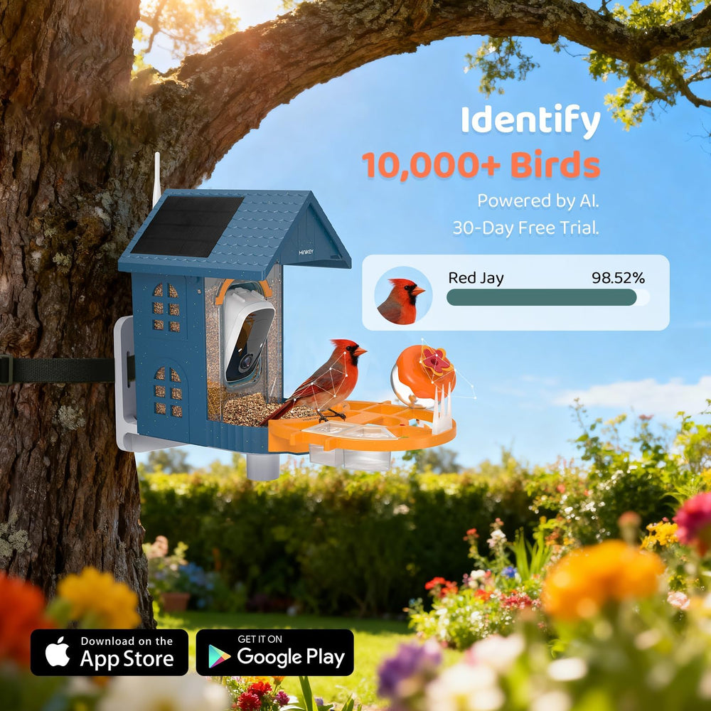 Family watching birds at Minikey Smart Bird Feeder