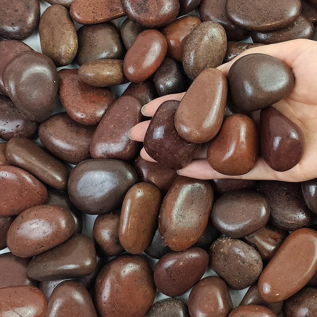 FANTIAN 5 lbs Red River Rocks in a decorative bowl