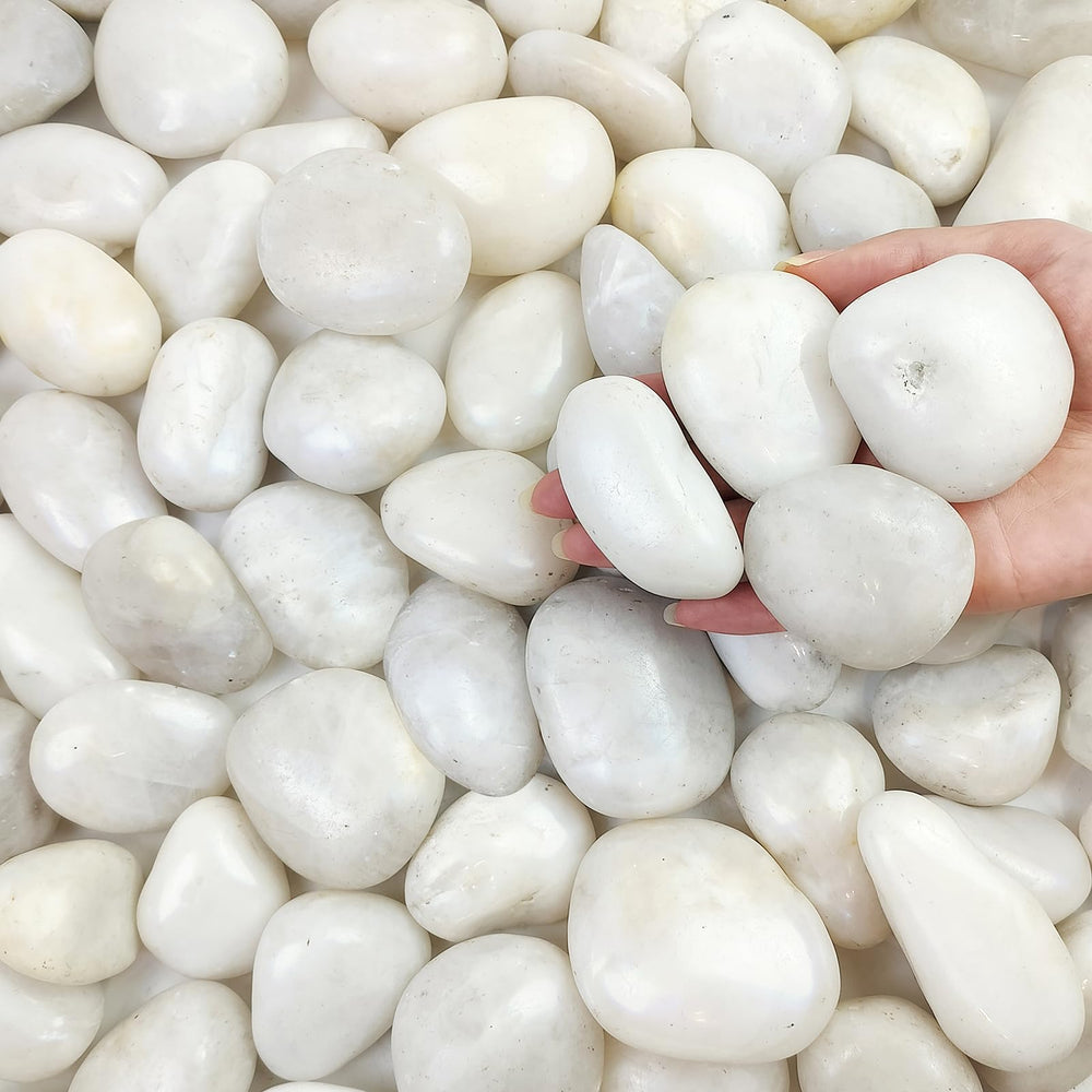 FANTIAN 5 lbs white river rocks front view