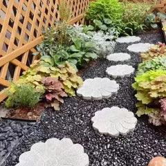 FANTIAN black pebbles around succulent plants