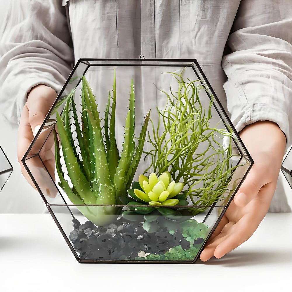 FANTIAN black pebbles in a terrarium setting