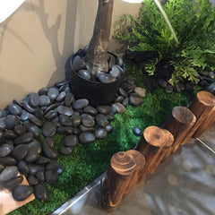 FANTIAN Black River Rocks in a decorative indoor plant pot