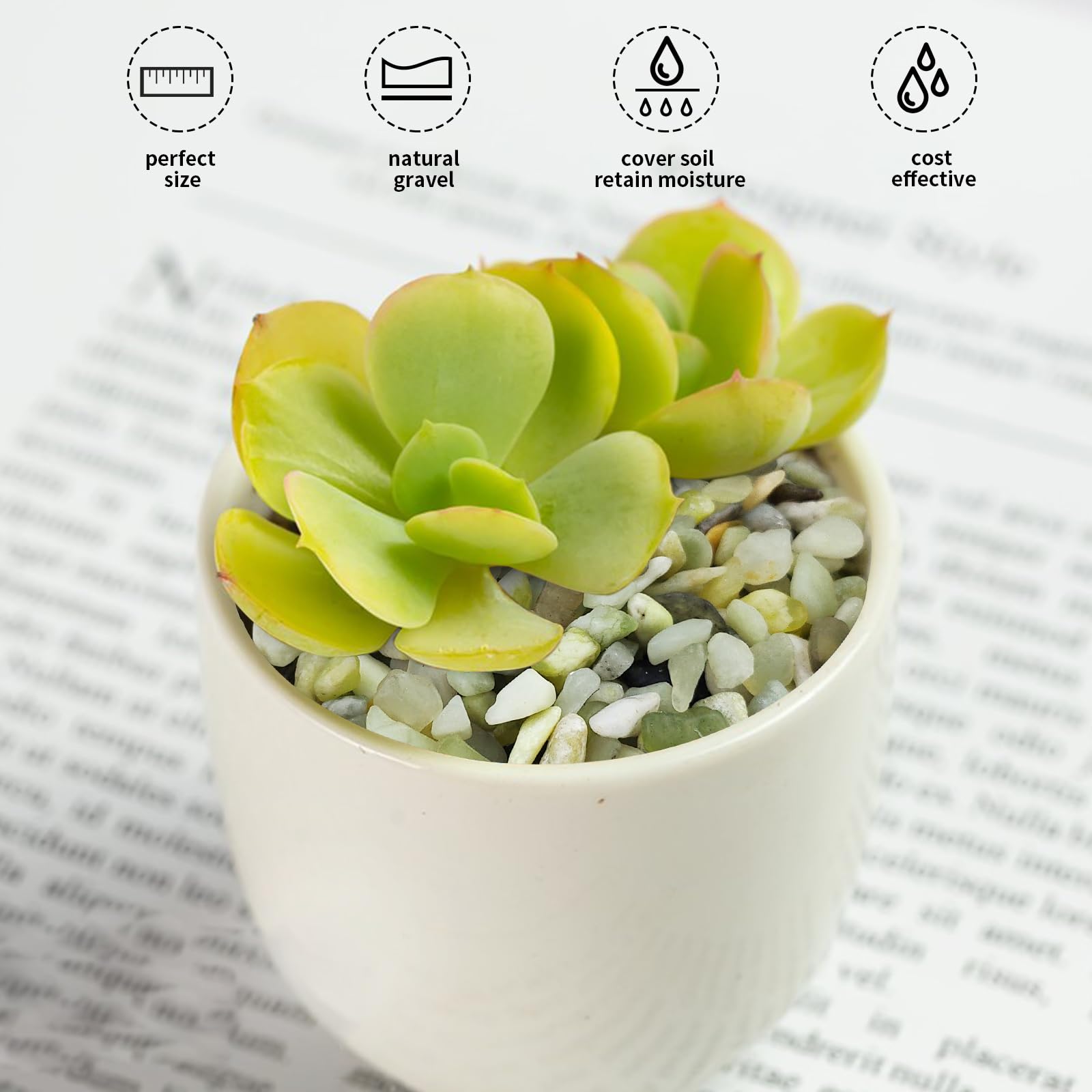 FANTIAN Jade Pebbles arranged around succulents