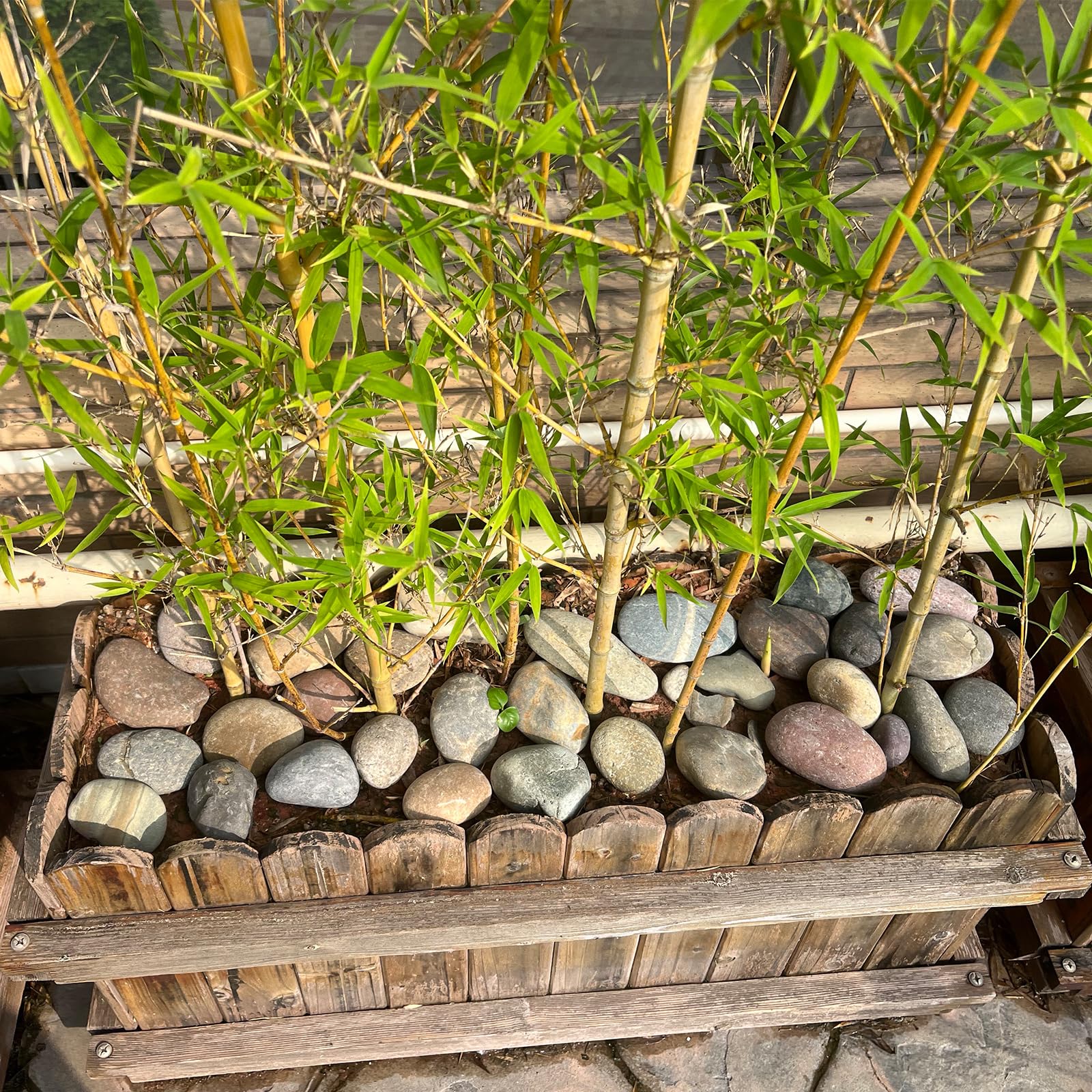 FANTIAN natural pebbles in a meditation garden
