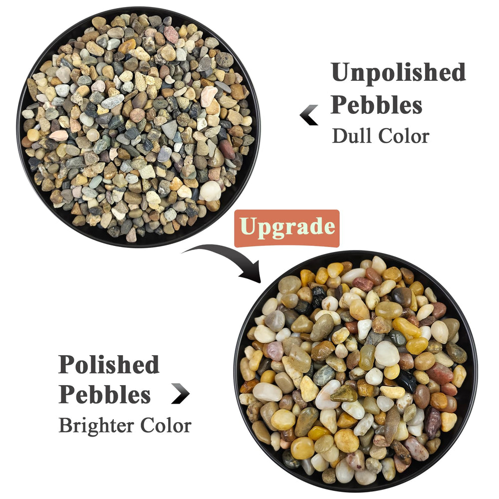 FANTIAN Pea Gravel in a decorative terrarium