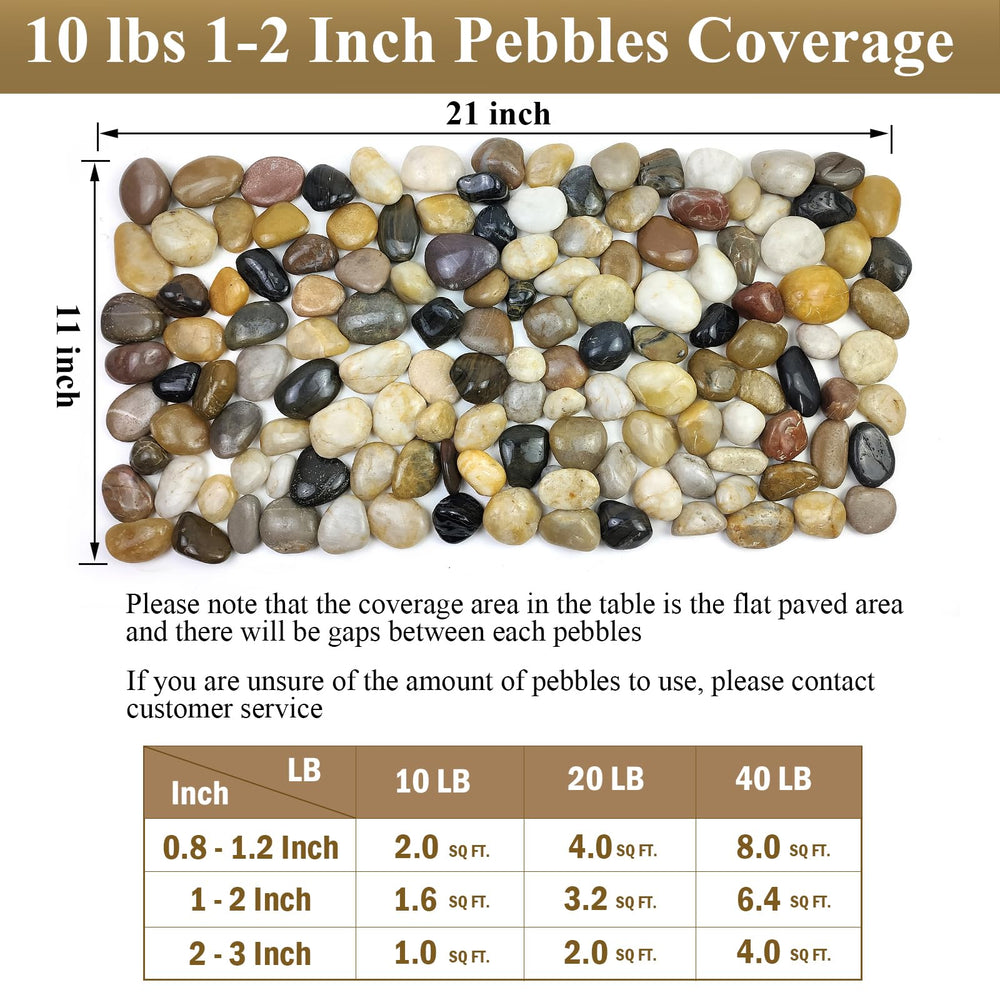 FANTIAN pebbles covering succulent plants