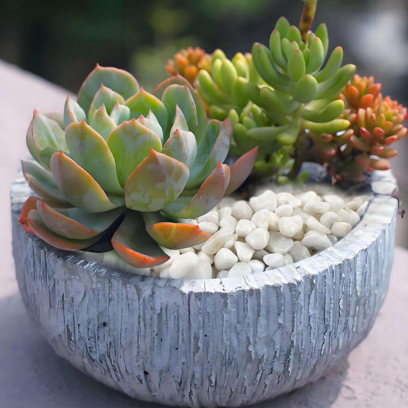FANTIAN white gravel in an aquarium setting