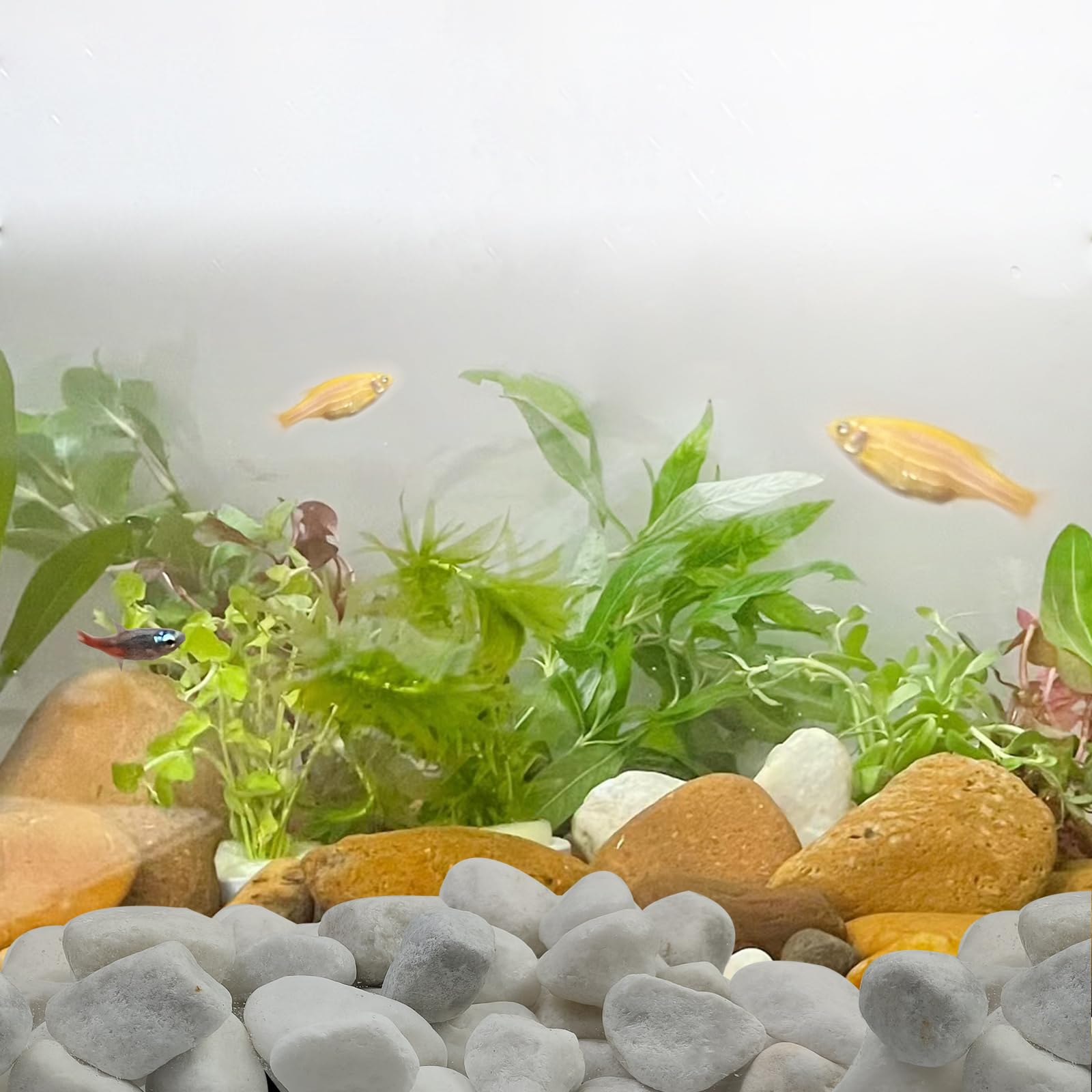 FANTIAN White Matte Rocks in a decorative water feature