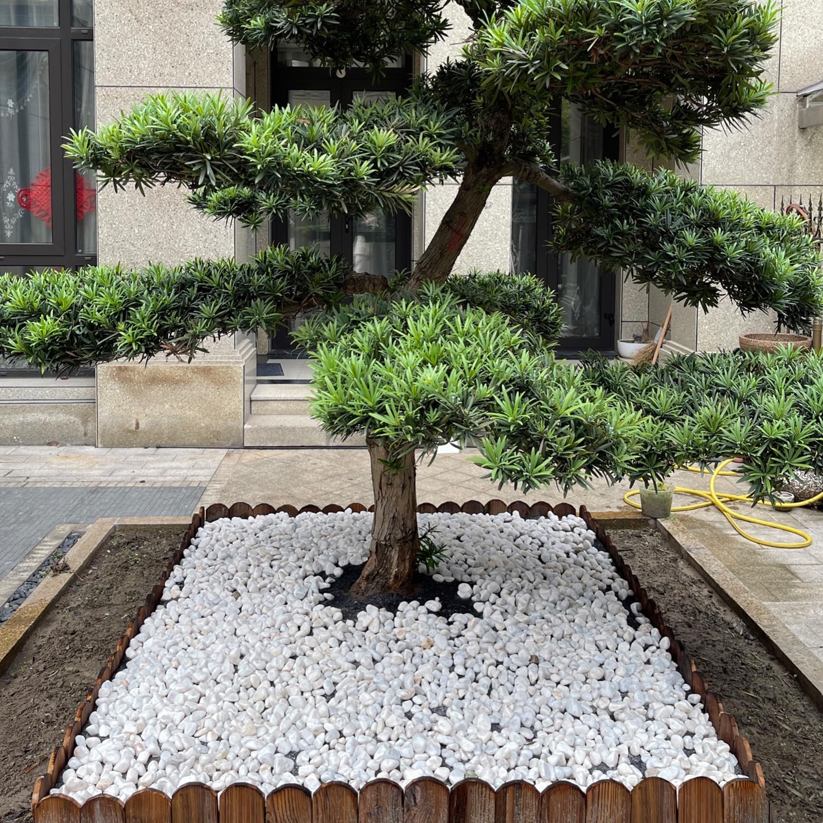 FANTIAN White Matte Rocks in a flower bed landscaping