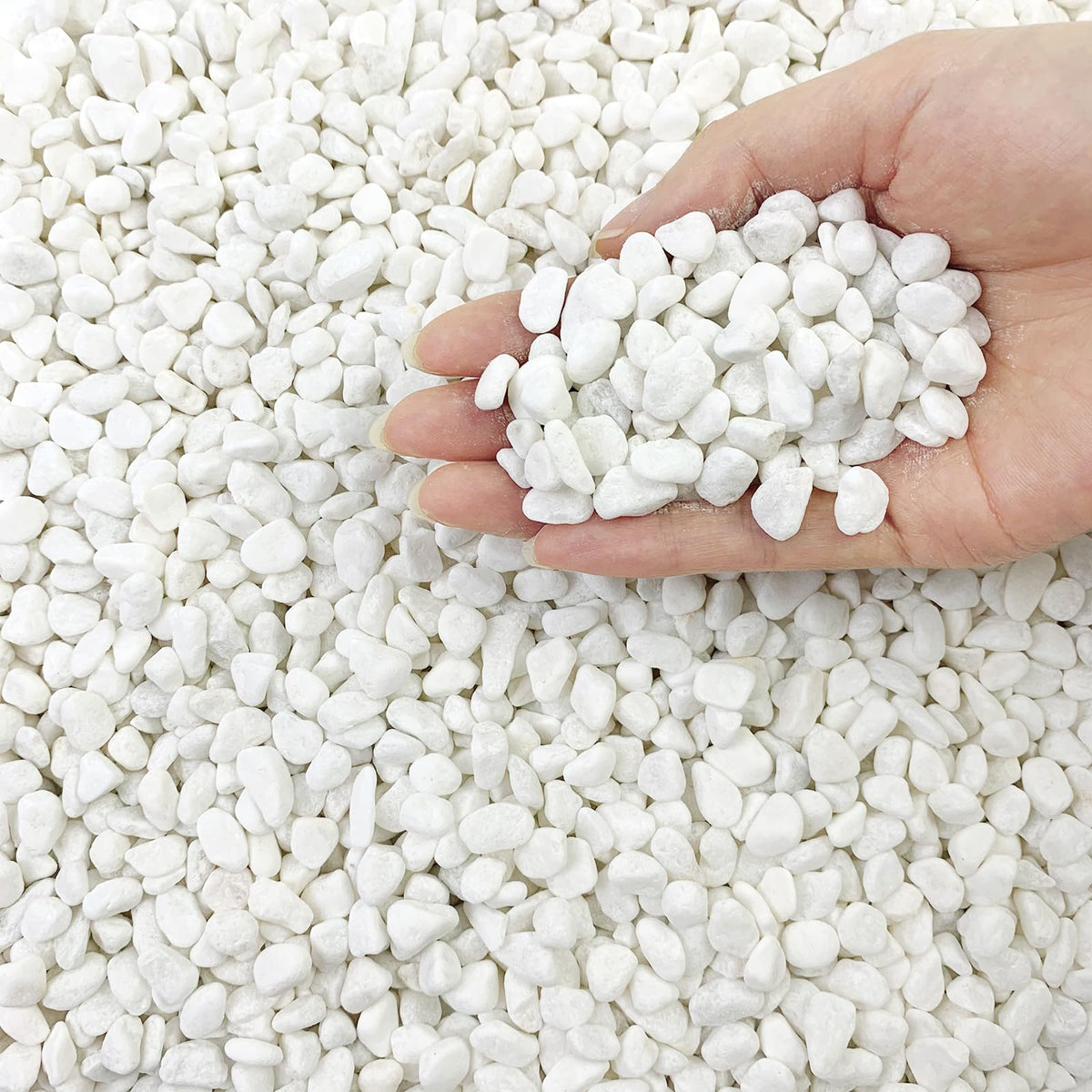 FANTIAN White Pea Gravel 10 lb bag front view