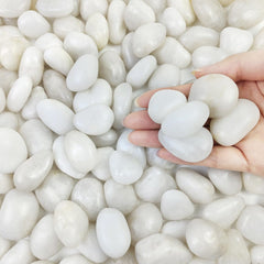 FANTIAN White Pebbles 5lbs front view